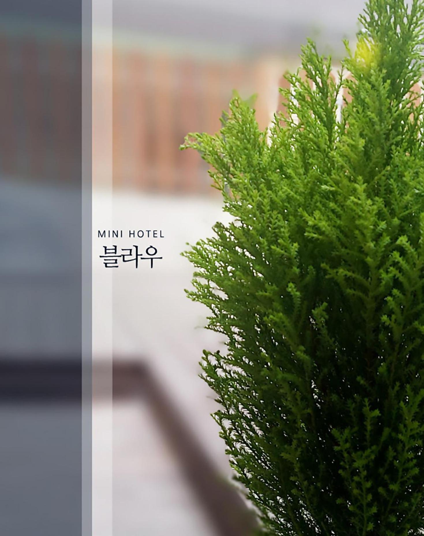 Blau Guesthouse Gyeongju Exterior photo