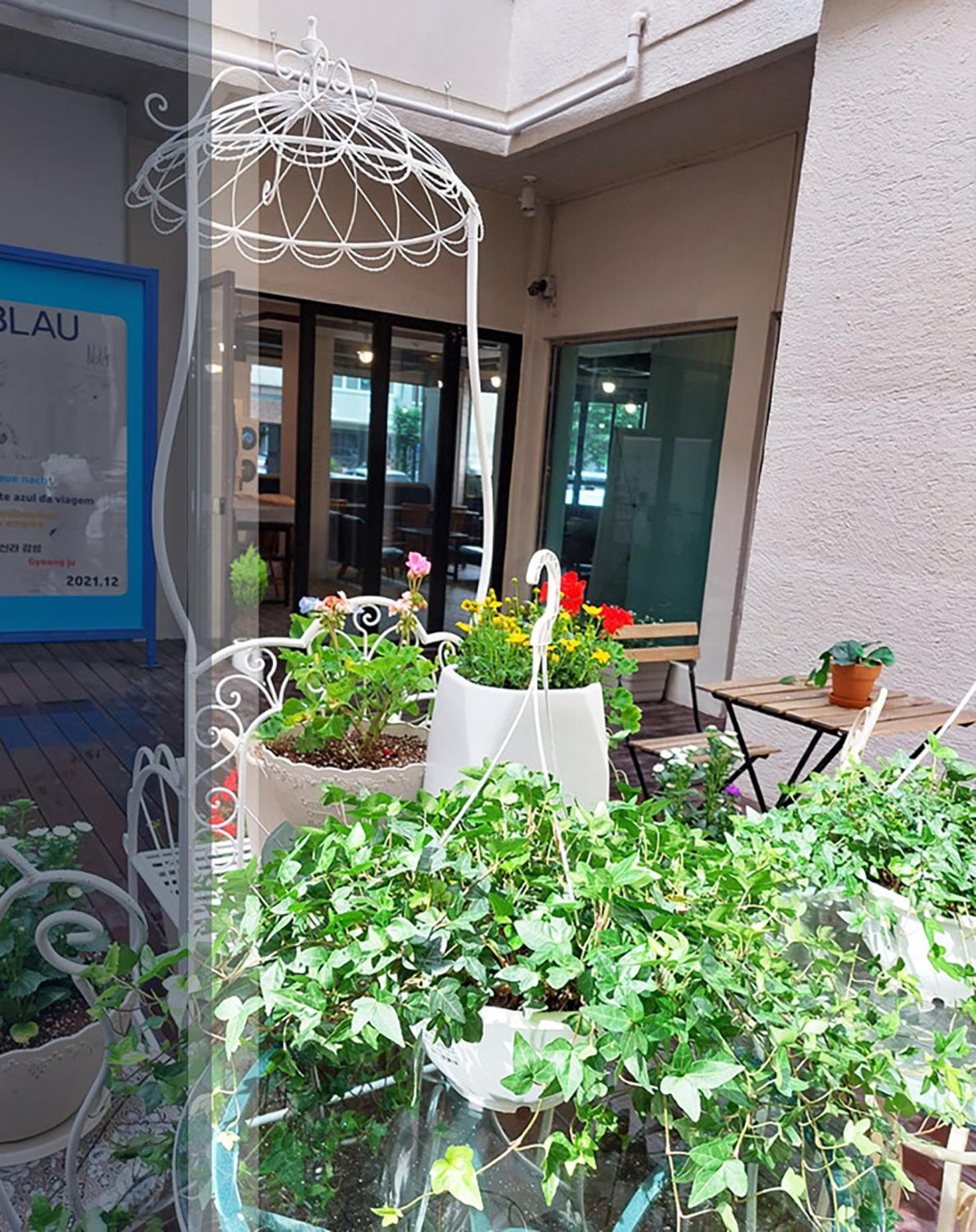 Blau Guesthouse Gyeongju Exterior photo